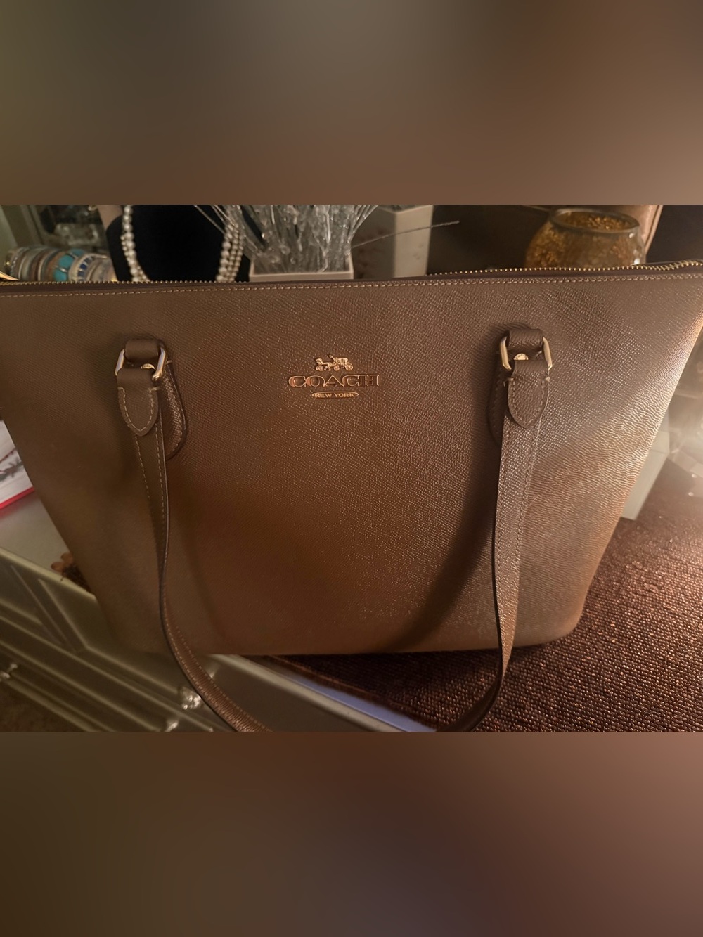 Molly Gallery Tote Coach Bag
